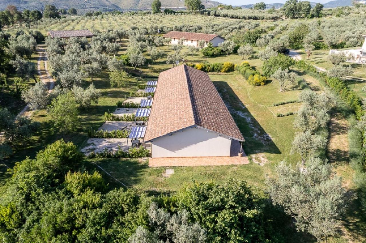 Agriturismo Il Bagolaro Villa Nerola Eksteriør bilde